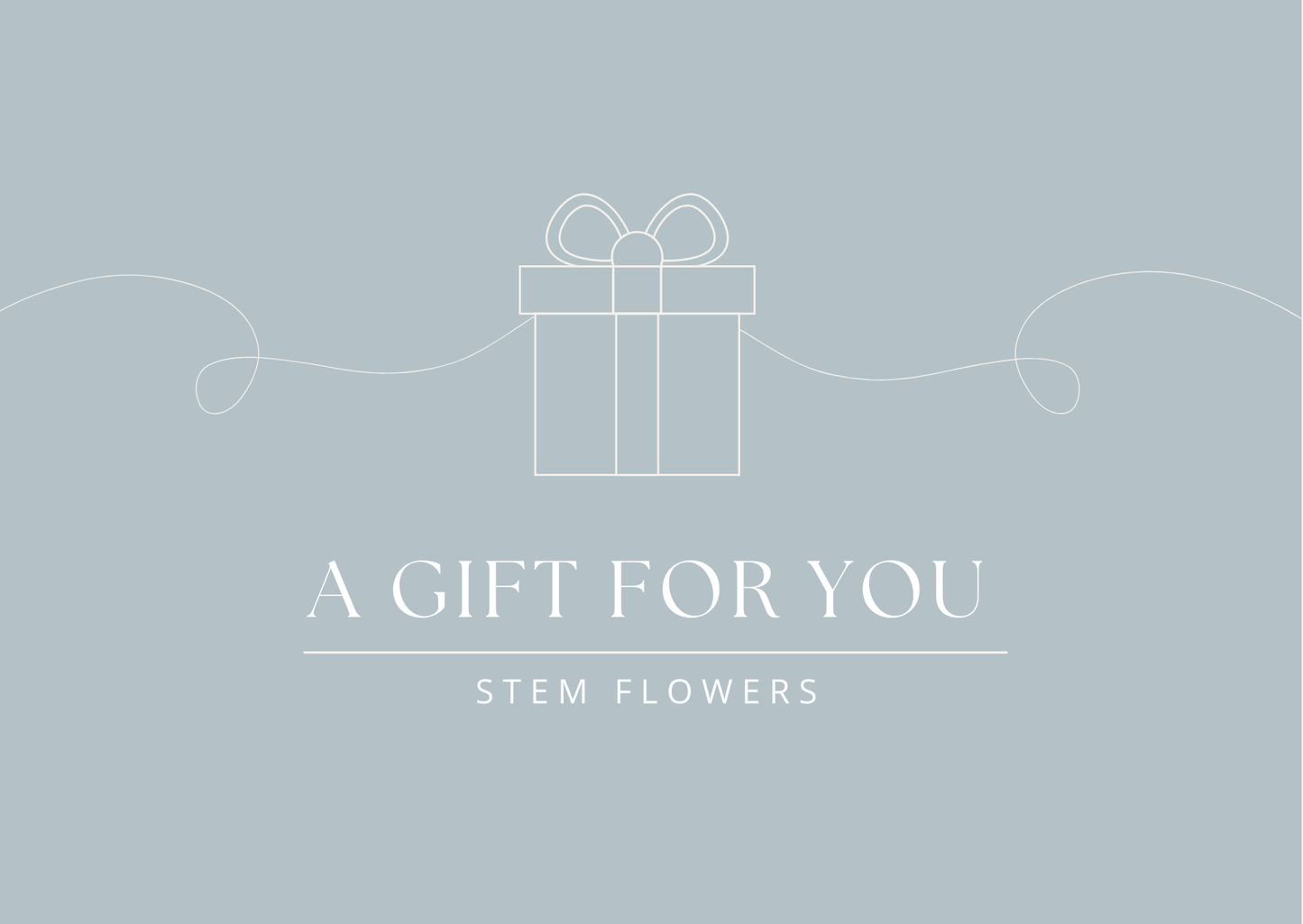 Stem Gift Voucher