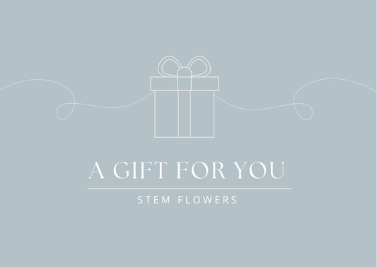 Stem Gift Voucher